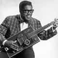 Bo Diddley portrait