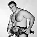 Bruno Sammartino portrait