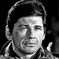 Charles Bronson portrait