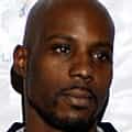 DMX portrait