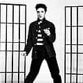Elvis Presley portrait
