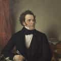 Franz Schubert portrait