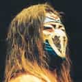 Hayabusa portrait
