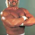 Hulk Hogan portrait