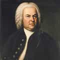 Johann Sebastian Bach portrait