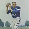 Johnny Unitas portrait
