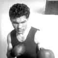 Max Schmeling portrait