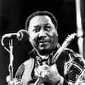 Muddy Waters portrait