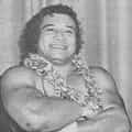 Peter Maivia portrait