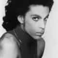 Prince portrait