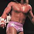 Randy Savage portrait