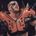 Road Warrior Hawk portrait