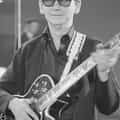 Roy Orbison portrait