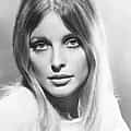 Sharon Tate portrait