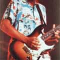 Steve Gaines portrait