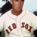 Ted Williams portrait