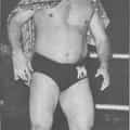 The Iron Sheik portrait