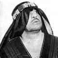 The Sheik portrait