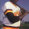 Tony Gwynn portrait
