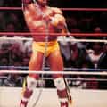 Ultimate Warrior portrait