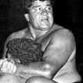Wahoo McDaniel portrait
