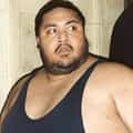 Yokozuna portrait